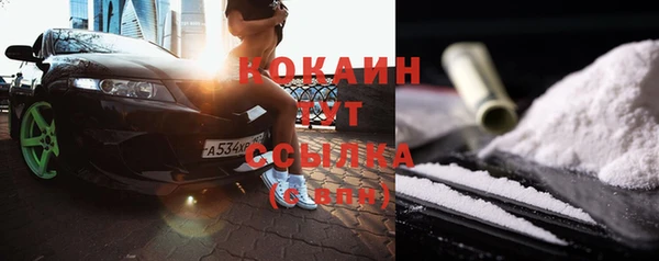 крисы Горняк