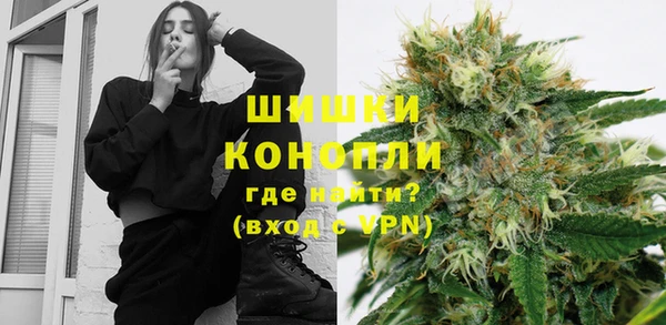 крисы Горняк