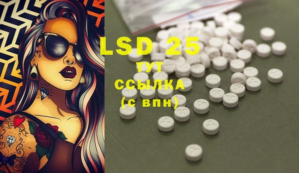 крисы Горняк
