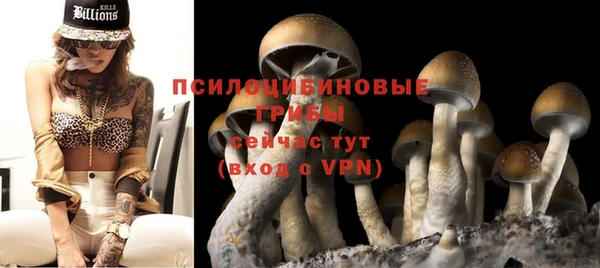 прущая мука Новодвинск